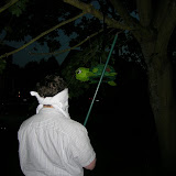 Cam Swings for the Pinata