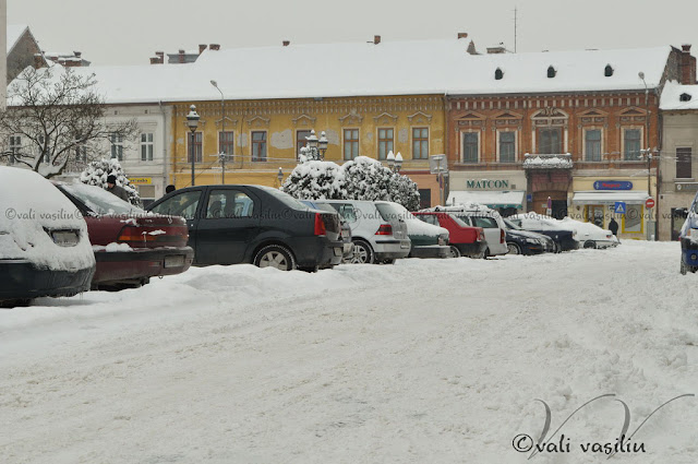 Strada din faţa Poliţiei. Strada din faţa Poliţiei.