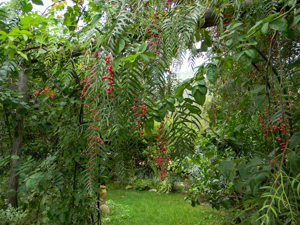[DSCN90255.jpg]