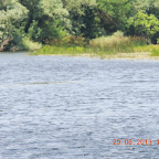 DSCN8221.JPG