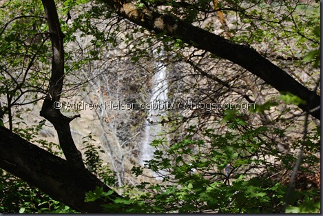 DSC_0872 DSC_0872
