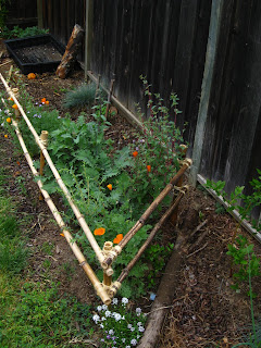 Simple bamboo and twine fence to guide dogs away from plants and towards the yard fence to patrol