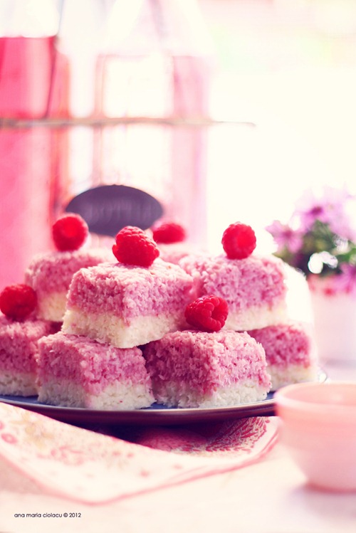 Raspberry Coconut Ice 5