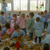ALIM0694.JPG