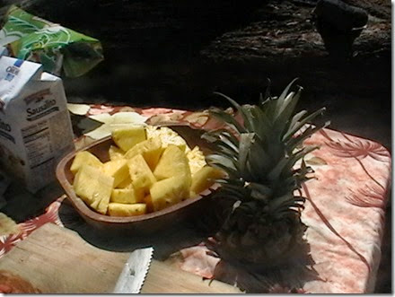 IMGA0971 IMGA0971