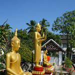 IMG_4391.JPG