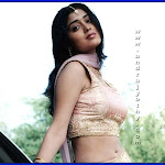 shriya-gal3.jpg