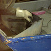03122011151.jpg