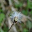 P1050290.JPG