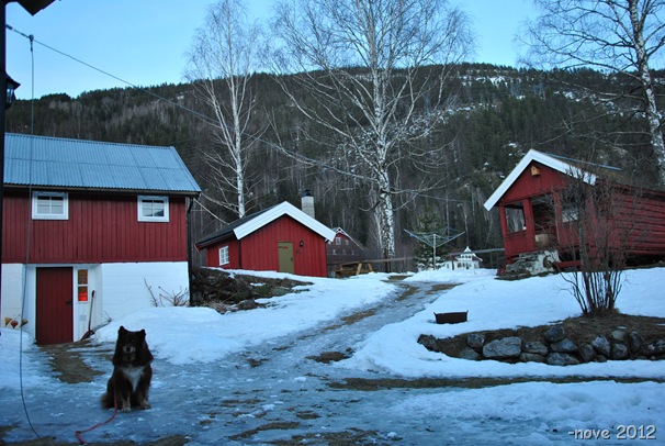 sveisen 031 sveisen 031
