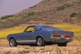 Shelby-Caroll-65