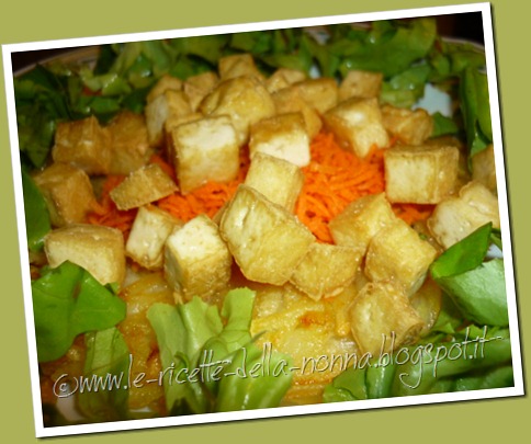 Rosti di patate con tofu affumicato fritto, insalata verde e carote a julienne (13)