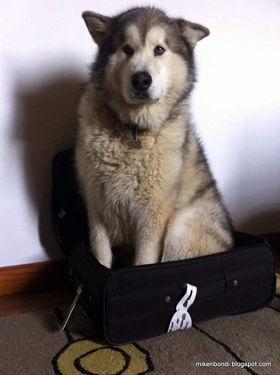 Just checking you packed enough socks
