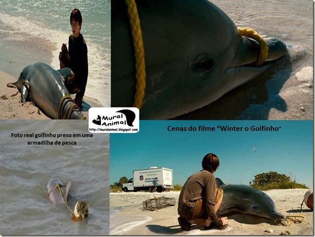 winter_filme winter_filme