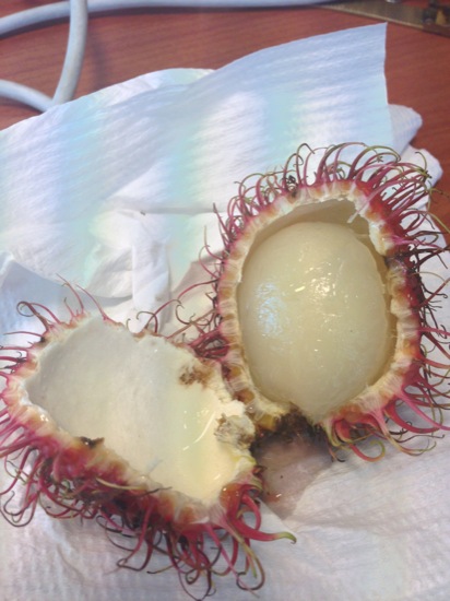 IMG_4752.jpg An opened Rambutan - Nephelium lappaceum