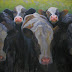 Object: 17689 - Groep nieuwsgierige koeien - 100 x 100 cm - € 4800,= Object: 17689 - Groep nieuwsgierige koeien - 100 x 100 cm - € 4800,=