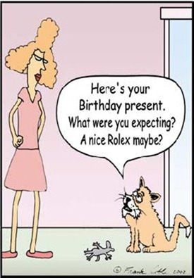 Your-birthday-present Your-birthday-present
