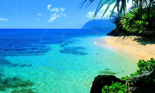 صور هاواي8 صور هاواي8