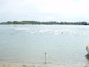 P8230581.JPG