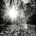 DSCN4356.JPG
