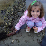Tidepools - June 2009