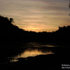dsc03379.jpg