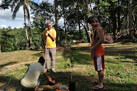 pinoyecofarm december _0152.JPG