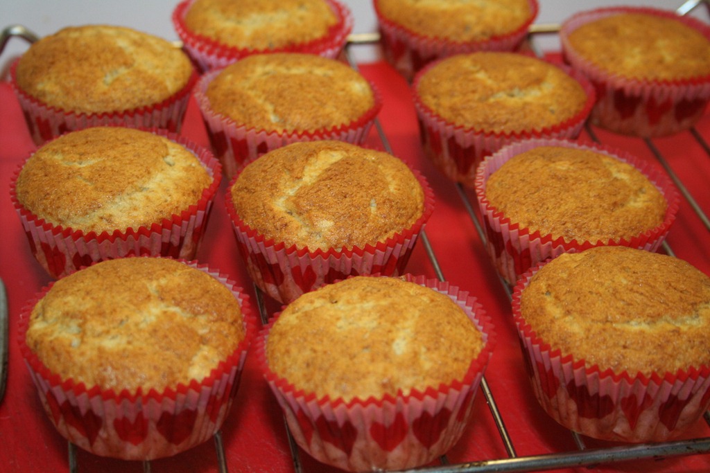 [CUPCAAKES2-0626.jpg]