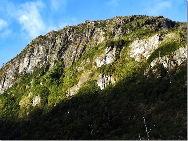 CarreteraAustral_DSC01095