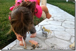 July18_Seahorse4