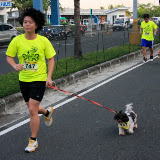 Pet Express Doggie Run 2012 Philippines. Jpg (54).JPG