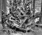 IMG_2568_69_70Enhancer-001.jpg