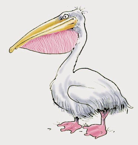 [pelican2a%255B2%255D.jpg]