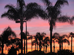 IMG_8672.JPG