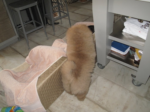 I suppose you can use my bed.  I kind of like the way you smell, anyway.