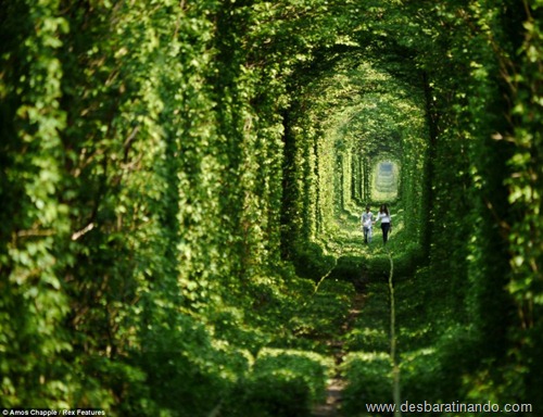 tunel do amor ucrania desbaratinando  (1)