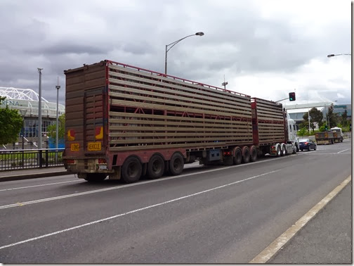 cattle truck cattle truck