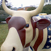 1205070927a.jpg