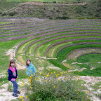 Moray is so visually striking.