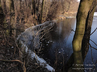 staw obok rz. Głównej
