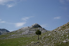 DSC03235.JPG
