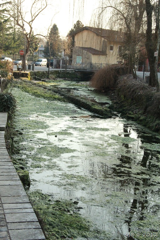 [IMG_5341%255B4%255D.jpg]