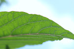 P9070493.JPG