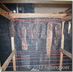 IMG_1122 cropped