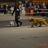 Abi - DSC_0184.JPG