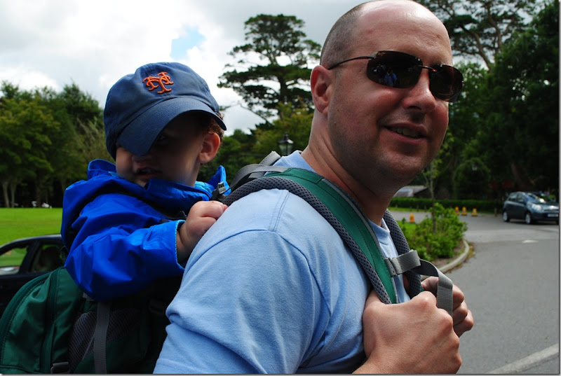 Kilarney National Park and Torc Waterfall (2)