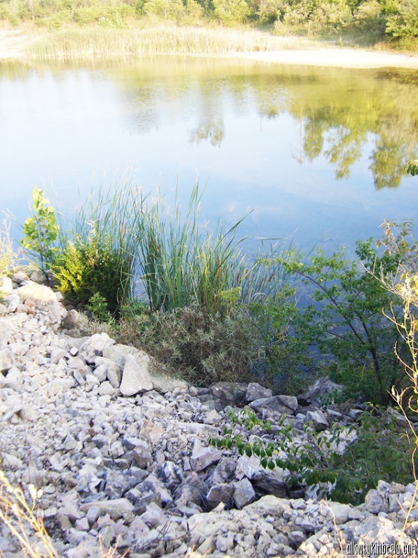 Oakes Quarry Park-Fairborn OH | allonsykimberly.com