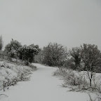 2012-02-01.jpg