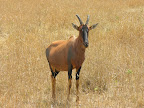 DSCN5874.JPG