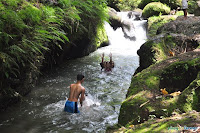 hayahay farm14.jpg